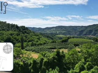 Vista