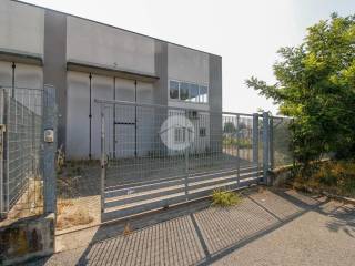 Ingresso