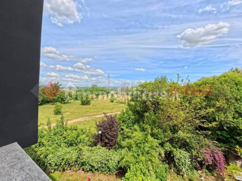 Vista