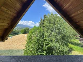 Vista