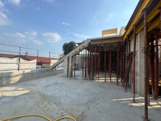 Zona