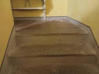 Scala