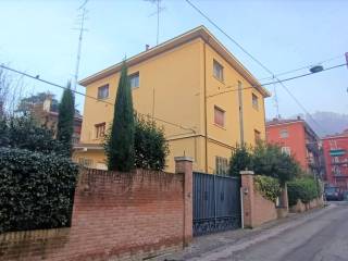 Zona