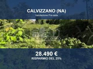 Zona