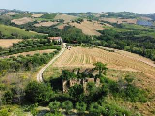 Vista