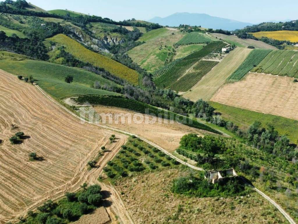 Terreno