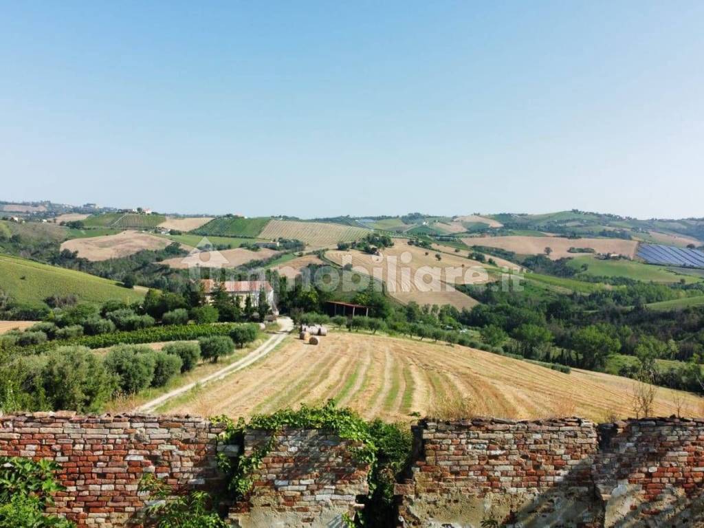 Vista