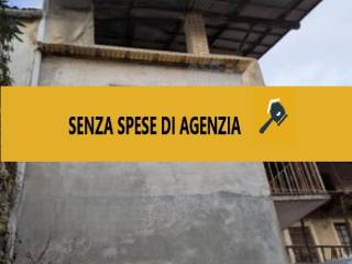 Zona