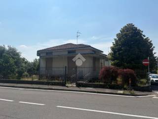 Zona