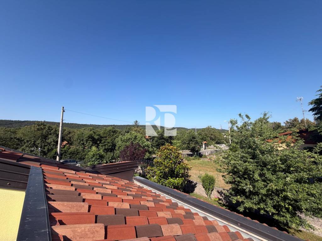 Vista