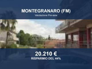 Zona