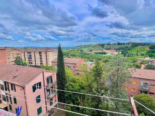 Vista