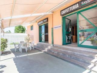 Ingresso