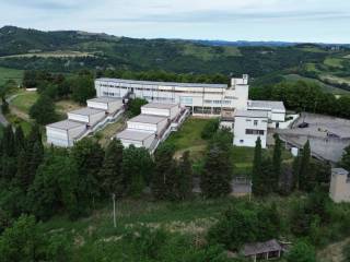 Vista