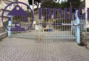 Zona