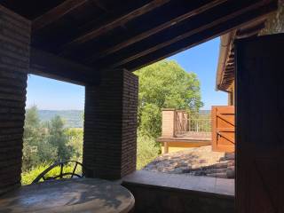 Vista