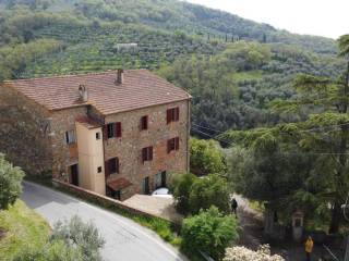 Vista