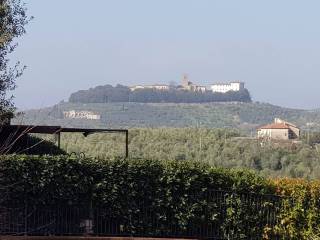 Vista
