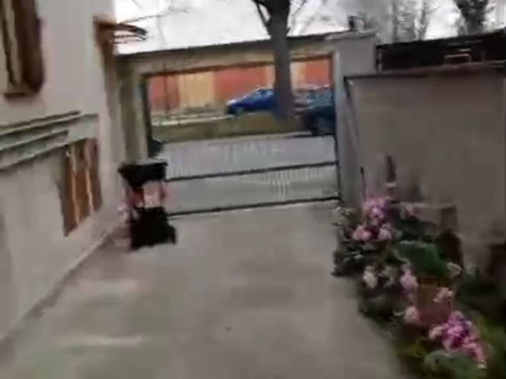 Stanza singola in Mirafiori Nord, foto 11 di 12