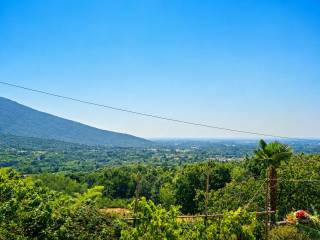 Vista