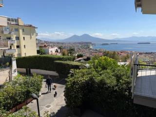 Vista