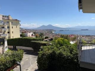 Vista