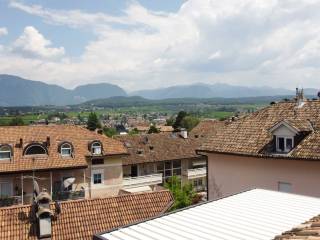 Vista