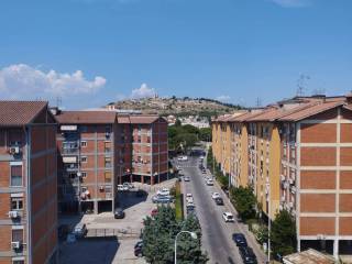 Vista
