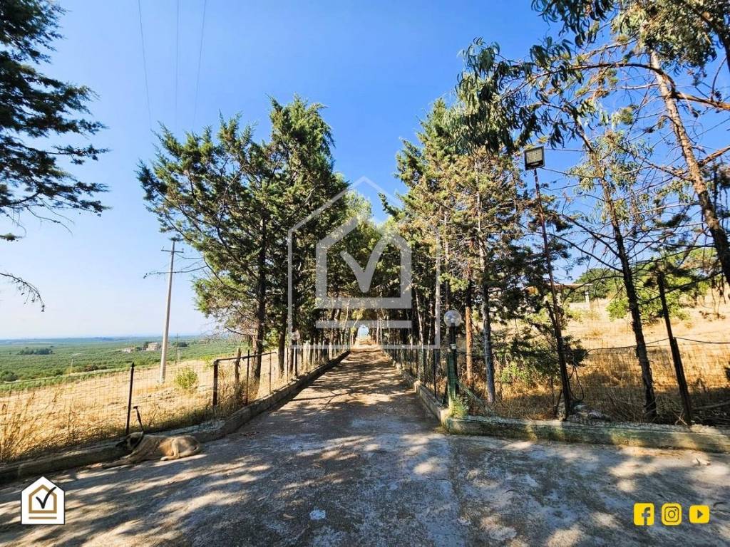 Villa unifamiliare, buono stato, 70 m², Montegrosso - Boschetto, Andria