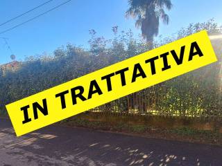 Zona