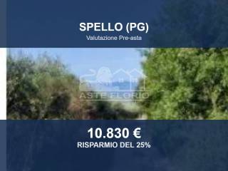Altro
