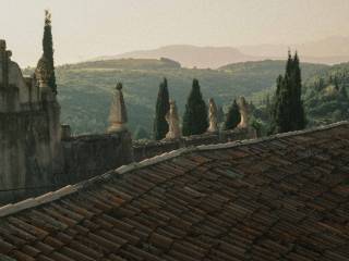 Vista