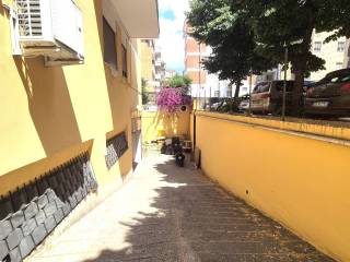 Zona