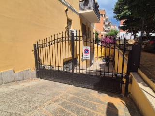Zona