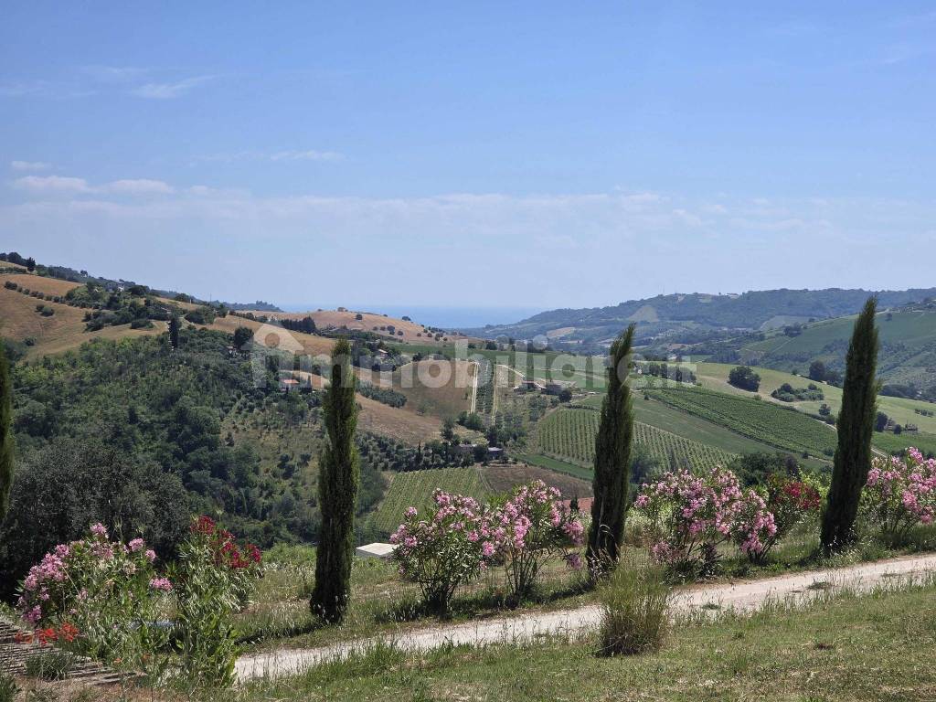Vista