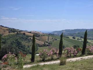 Vista