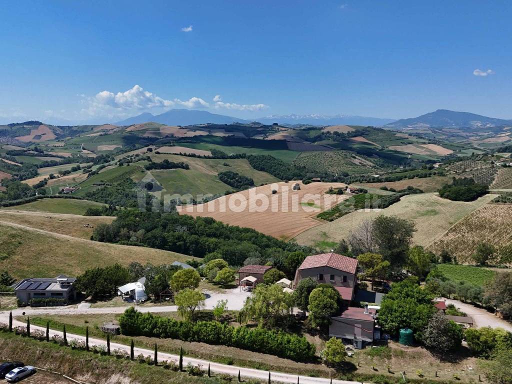 Vista