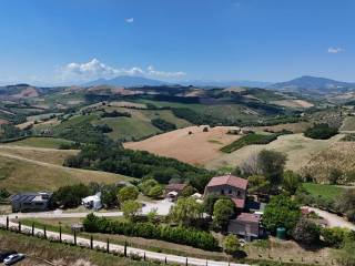 Vista