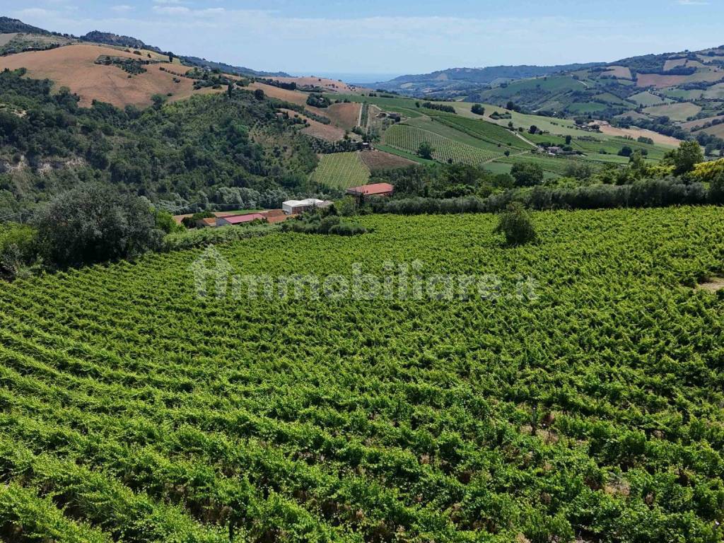 Terreno