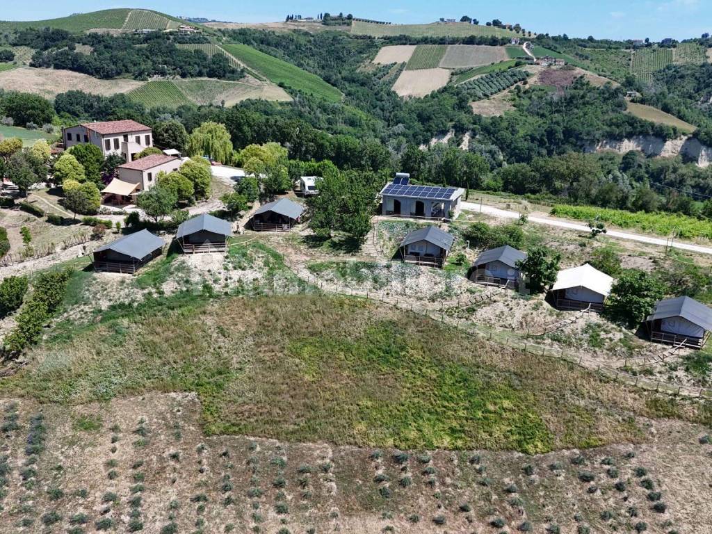 Vista