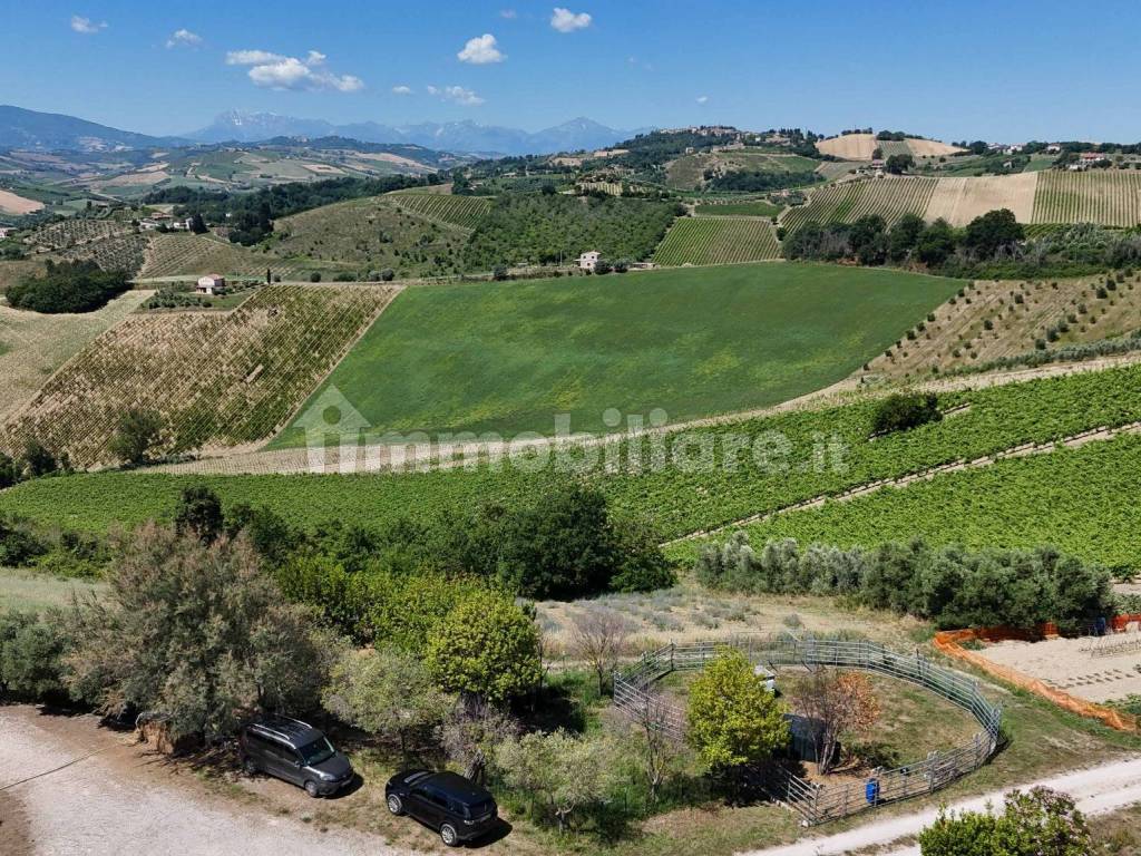 Terreno
