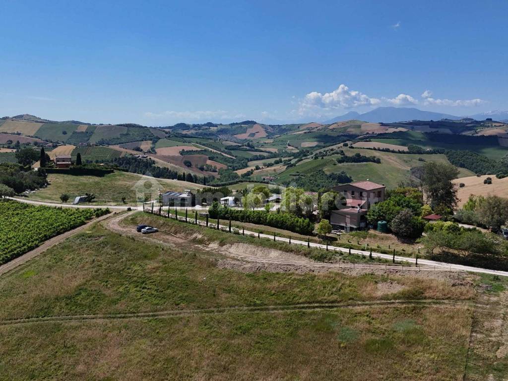 Vista