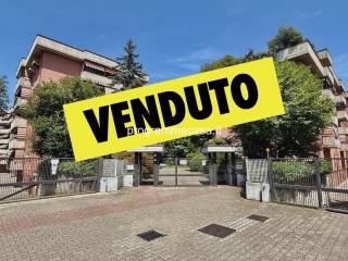 Zona