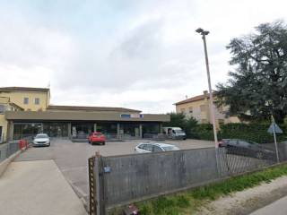Zona