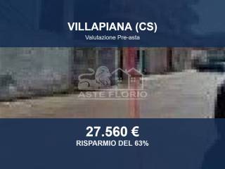 Zona