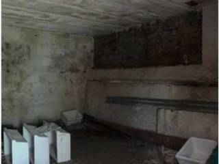 Cantina