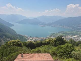 Vista