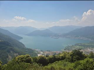 Vista