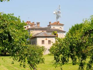 Vista