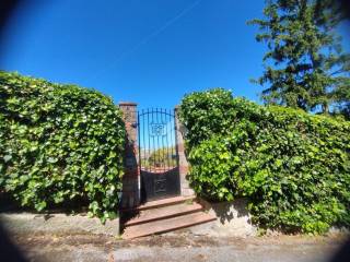 Ingresso